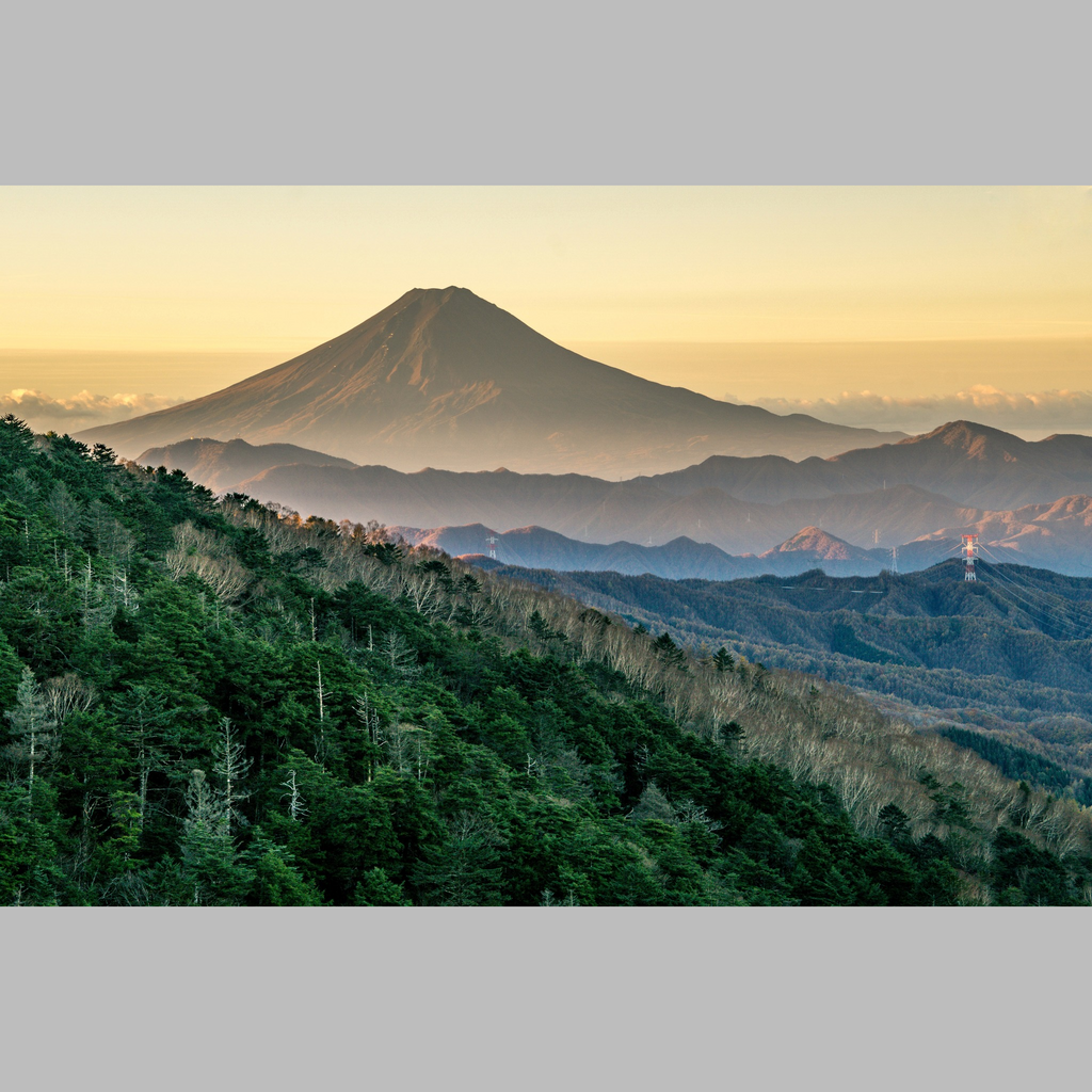 レッスンの様子や作品の説明
