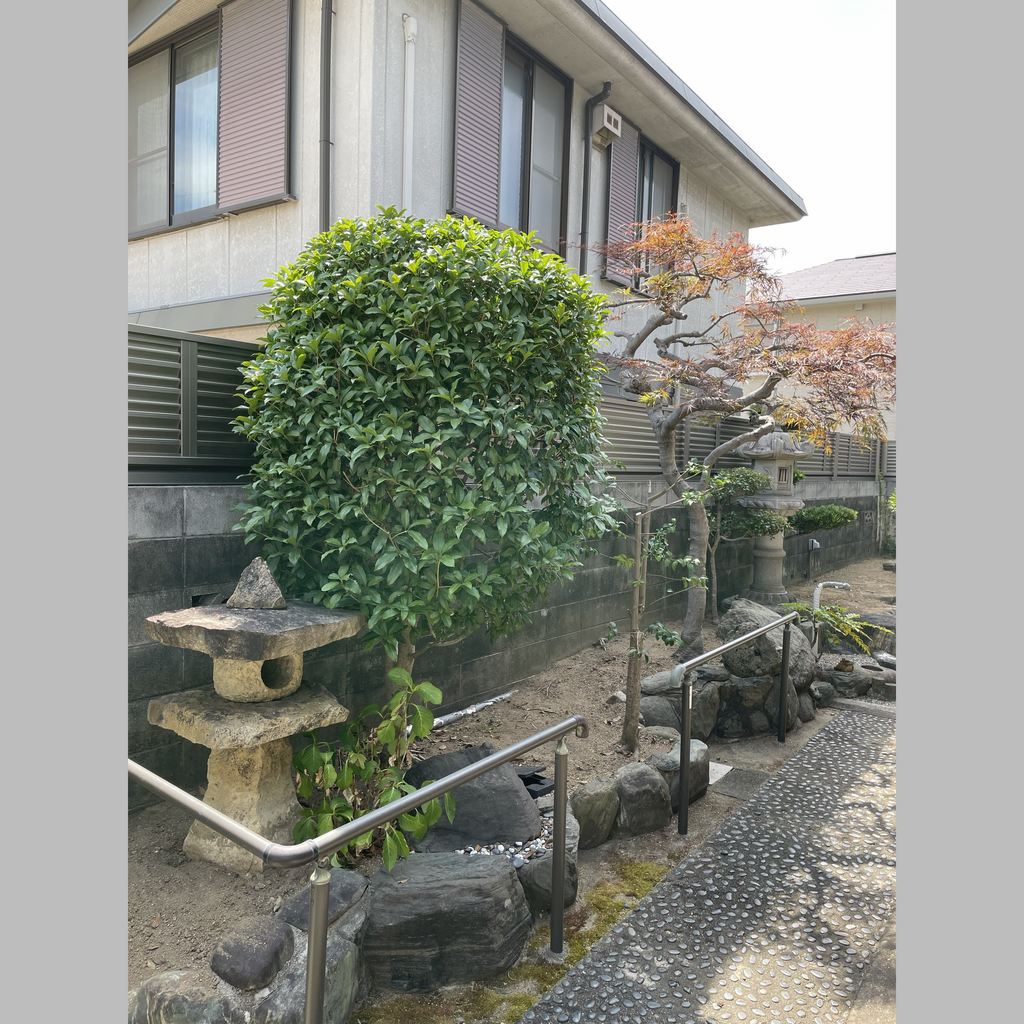 施工後の説明文