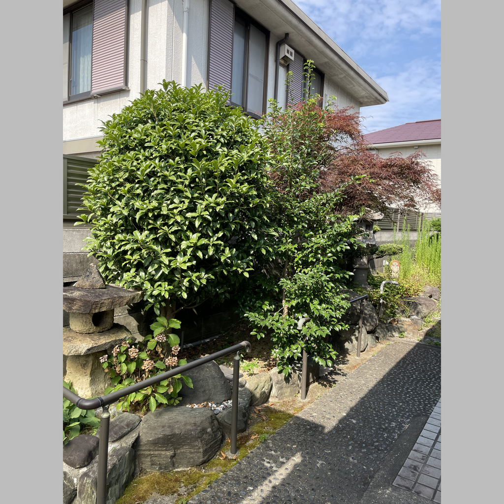 施工前の説明文