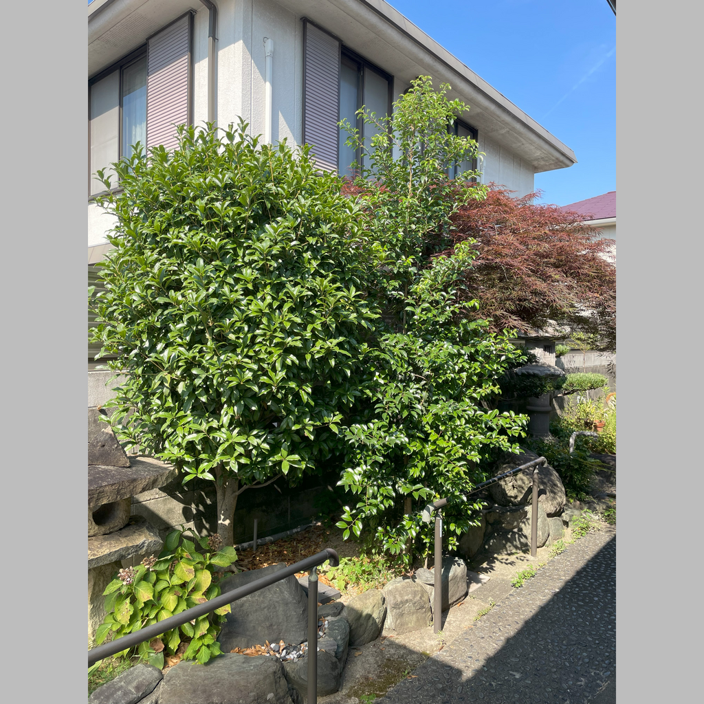 施工前の説明文