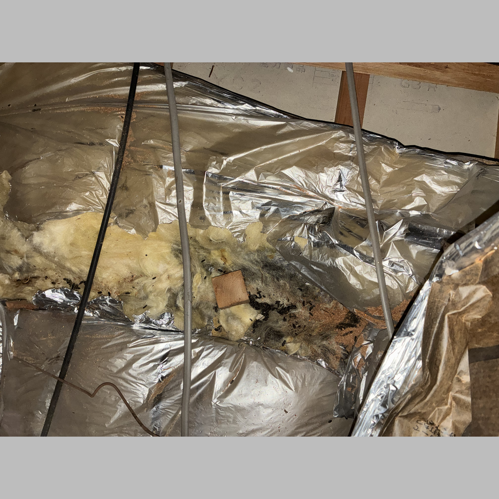 施工前の説明文