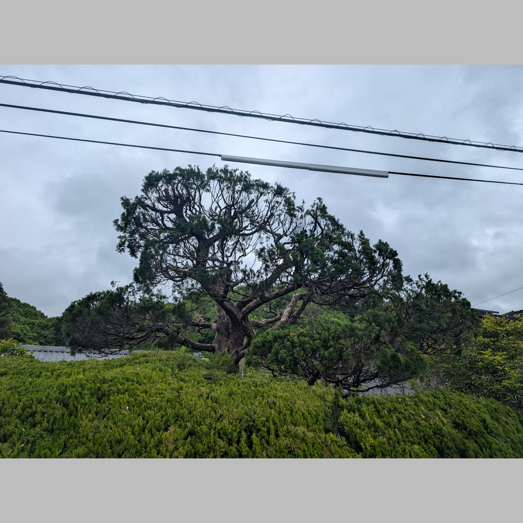 施工後の説明文