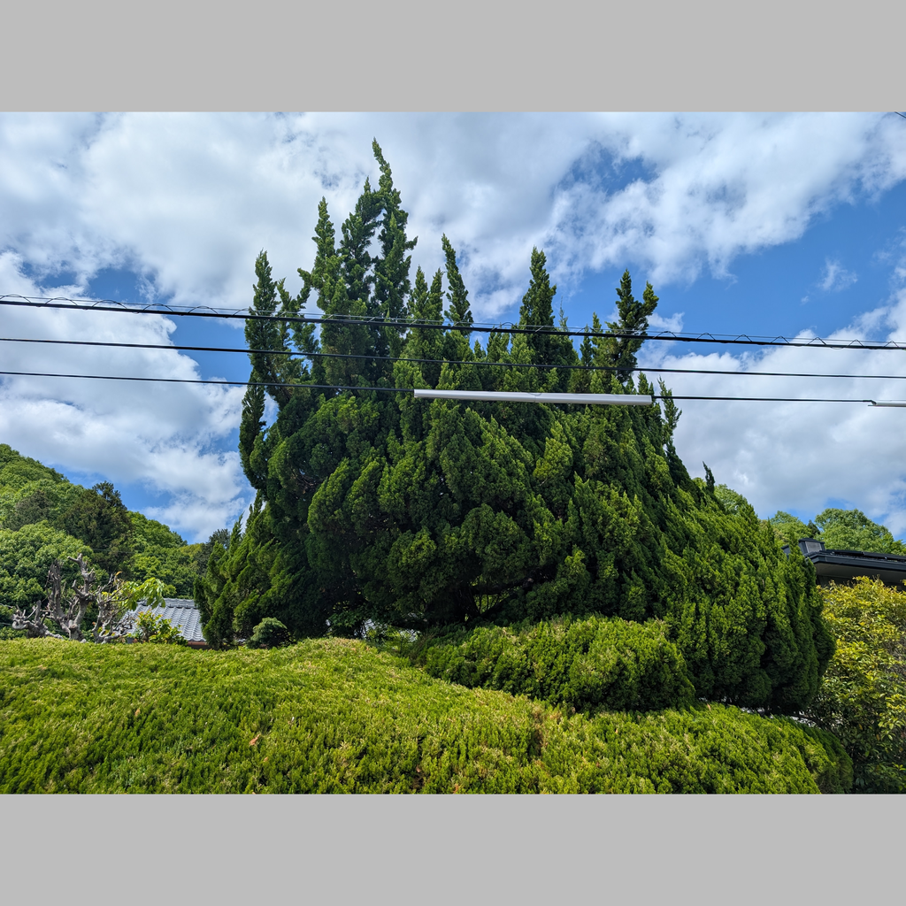 施工前の説明文